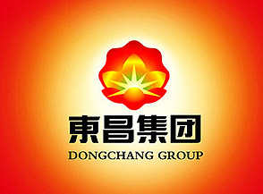 寧夏東昌實業集團VI設計